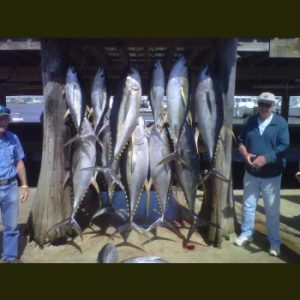 fishing charters