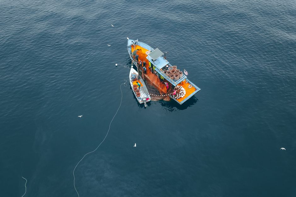 A modern fisherman sits on his boat, using a tablet to manage bookings and finances, symbolizing the transition from a fishing hobby to a successful business.